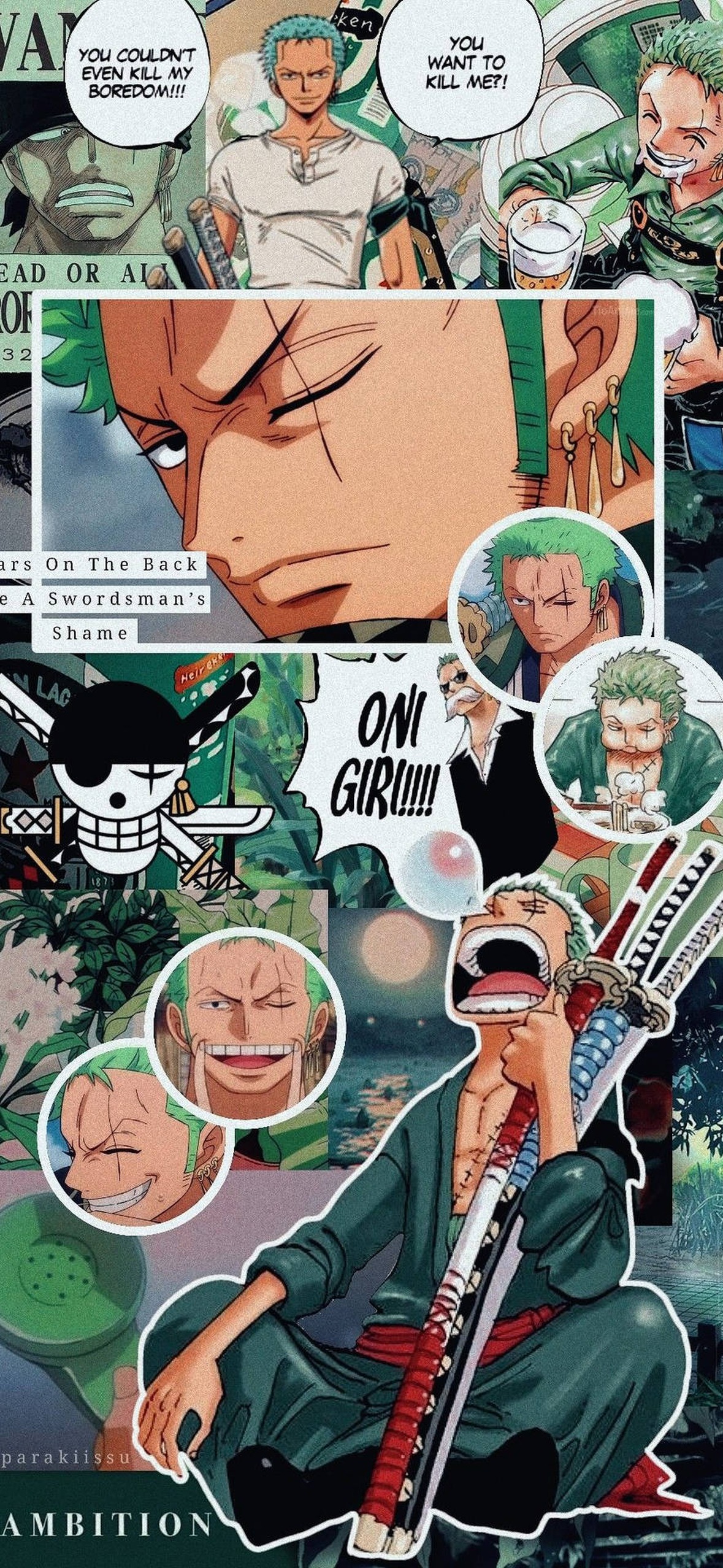 Relaxed Zoro One Piece Aesthetic