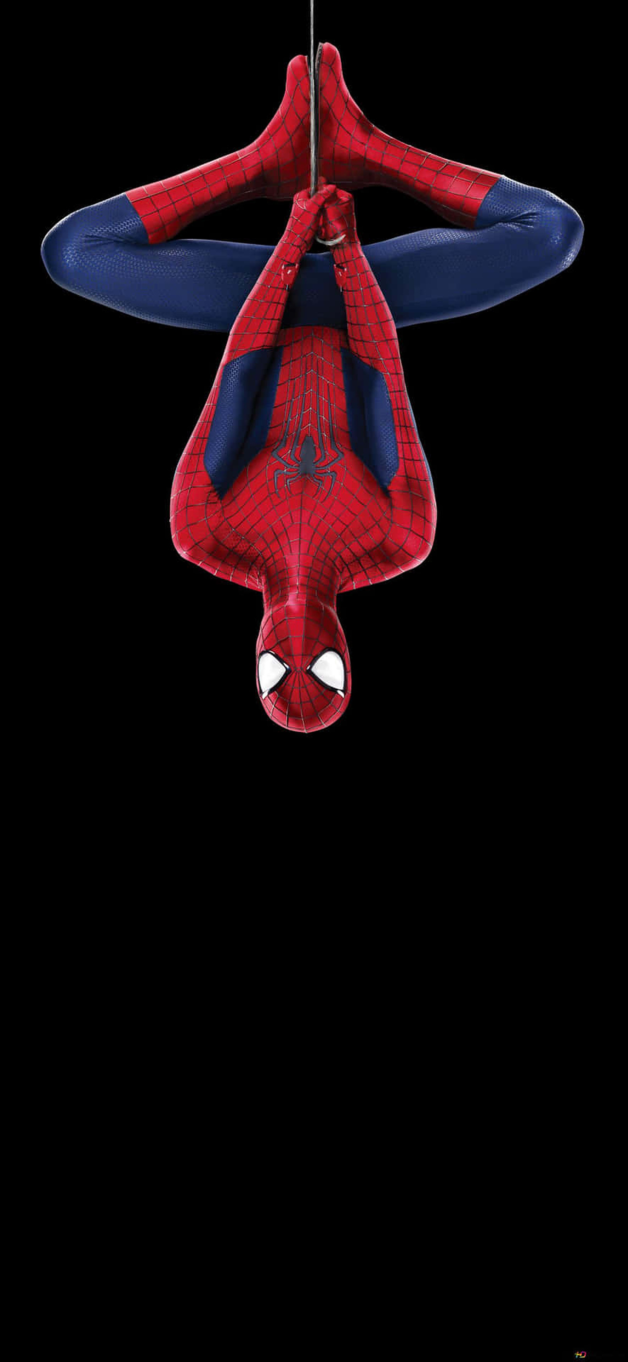 Familiar Friendly Spider-Man