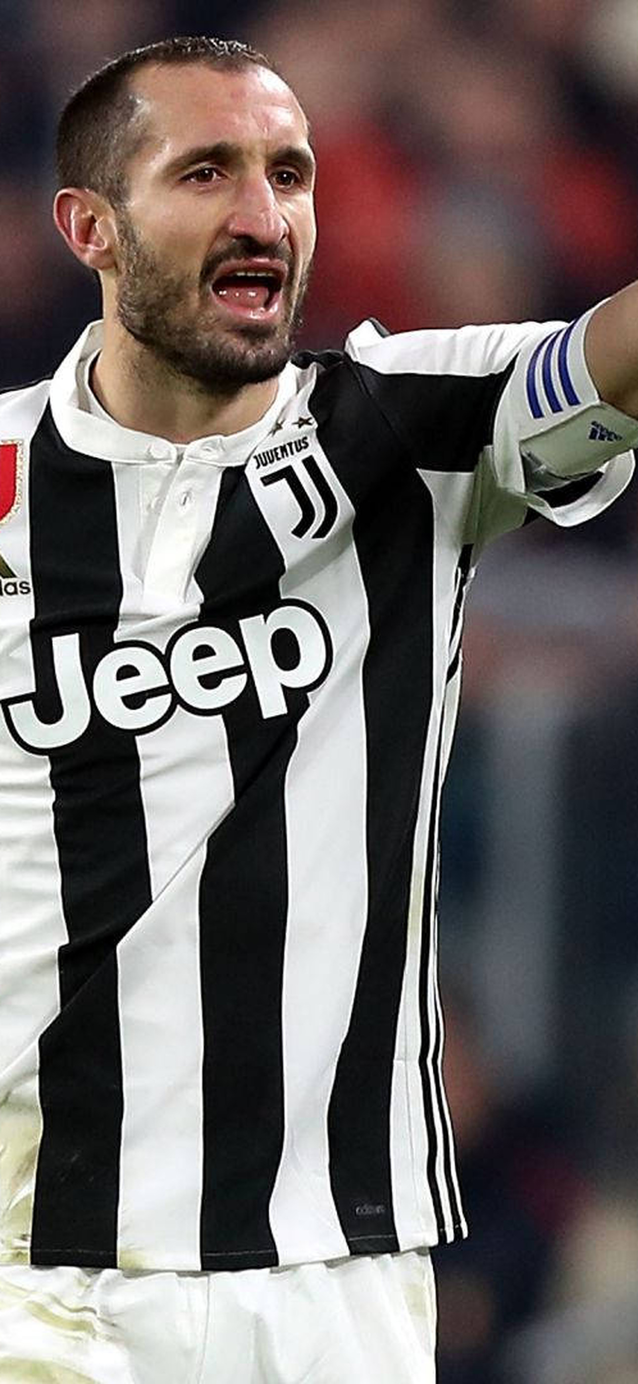 Giorgio Chiellini Juventus Referee