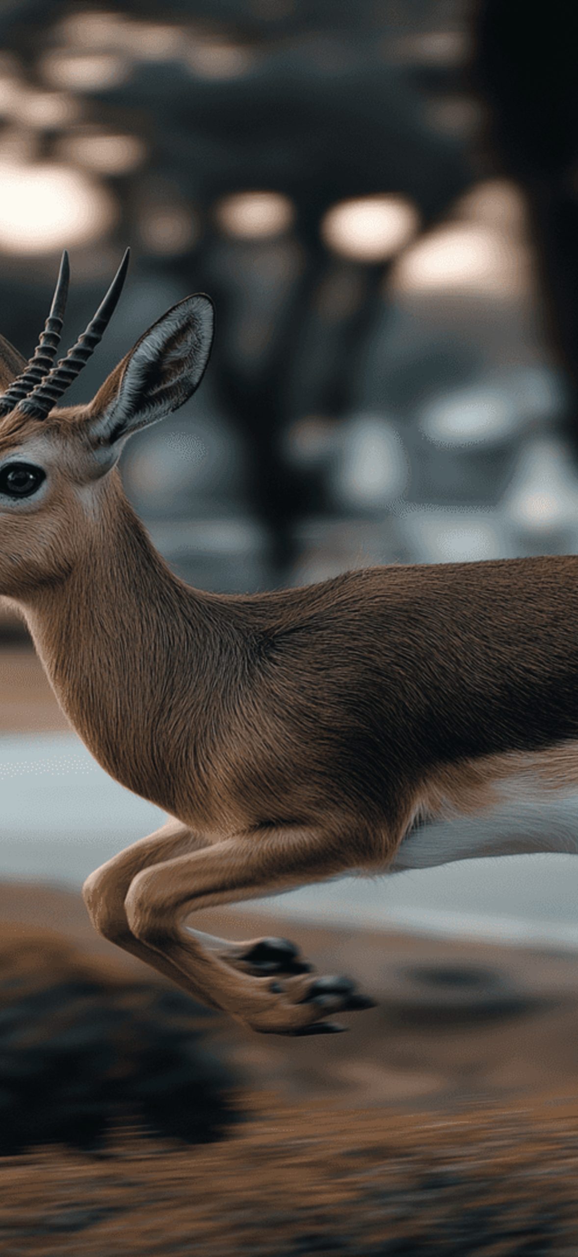 Gazelle Leaping