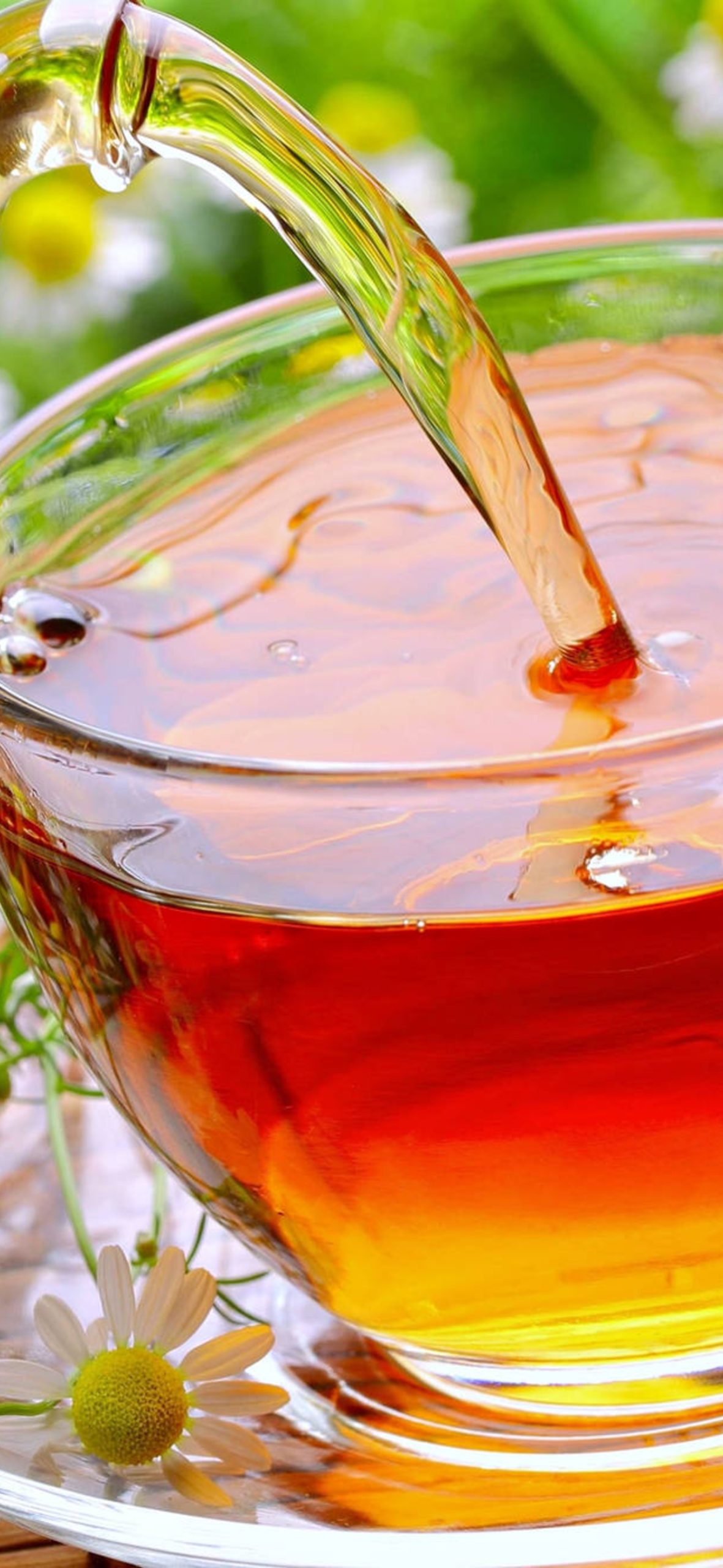 crop_10|Chamomile Tea iPhone 17 Wallpaper