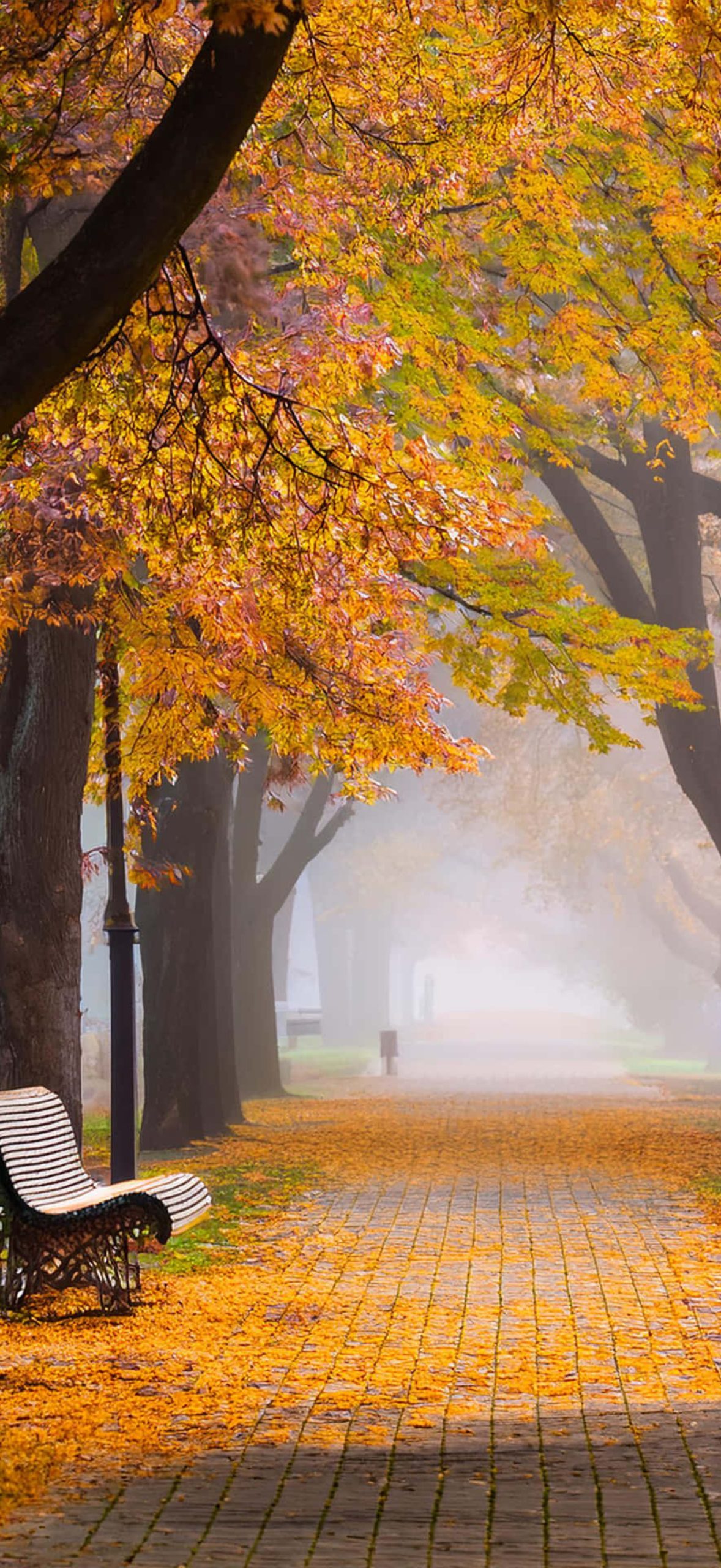 The Silence Of Autumn