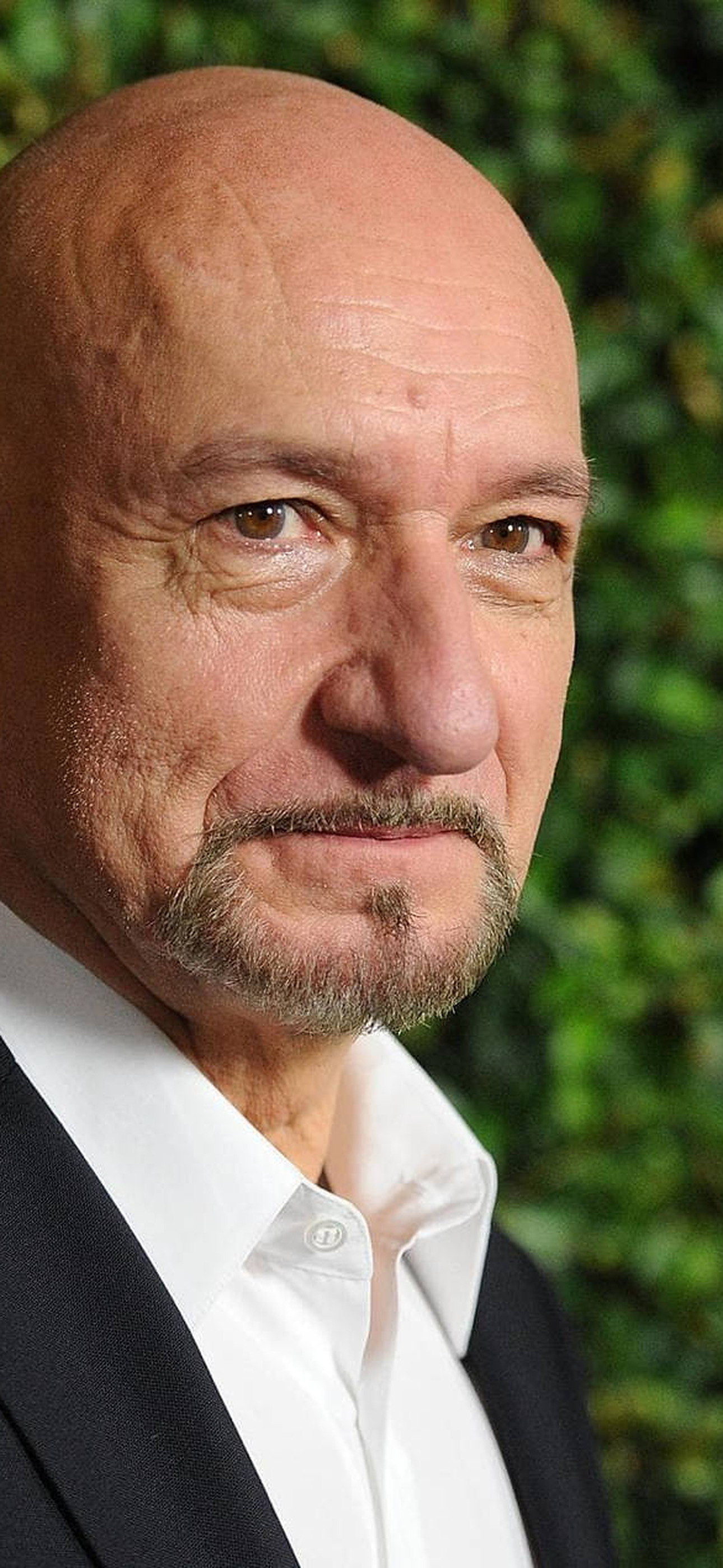 Sir Ben Kingsley Young Adult Premiere