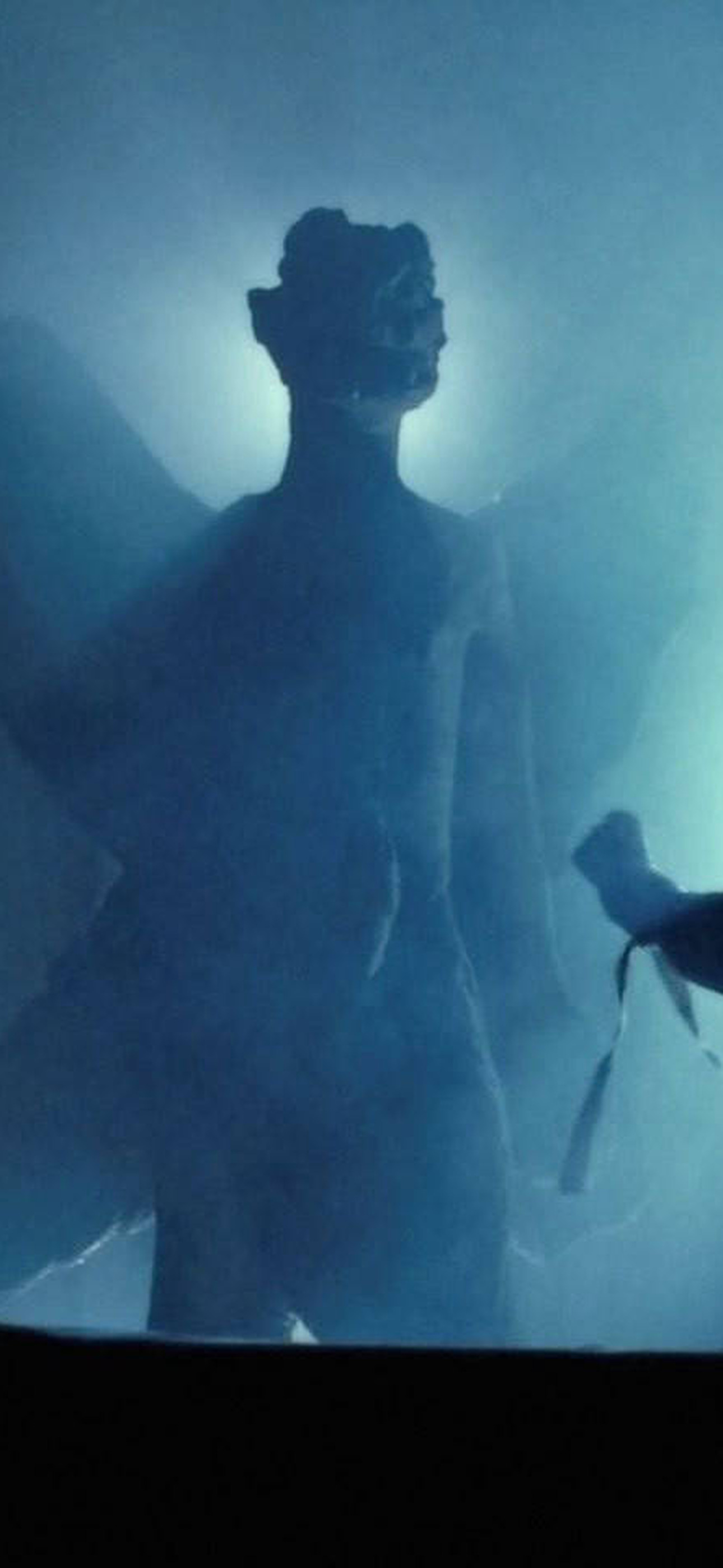 The Exorcist Blue and Black Art