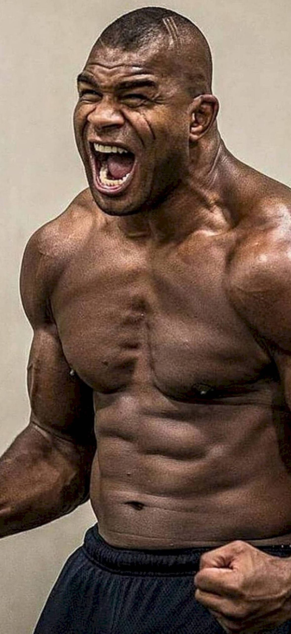 Alistair Overeem MMA Fighter