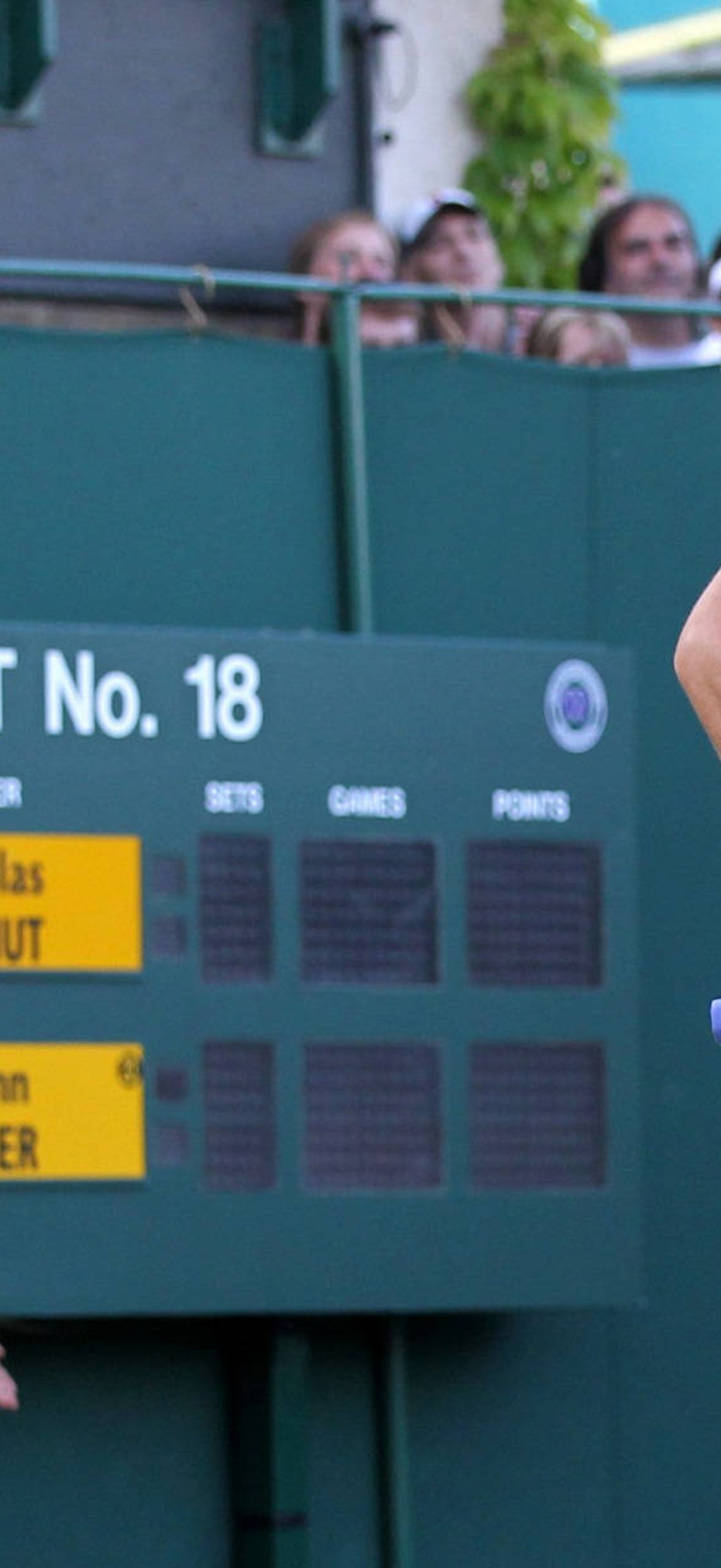American Tennis Athlete John Isner 8mdyxpbc1n8qfw5l