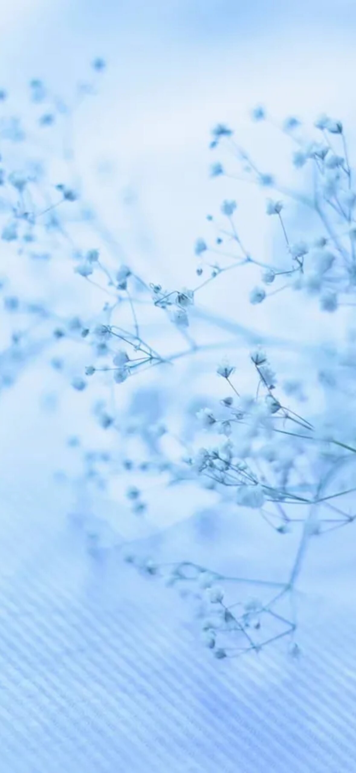 Baby Blue Light Blue Aesthetic Small Flowers Photography Ftg6Cul98Bsia1M8.Jpg
