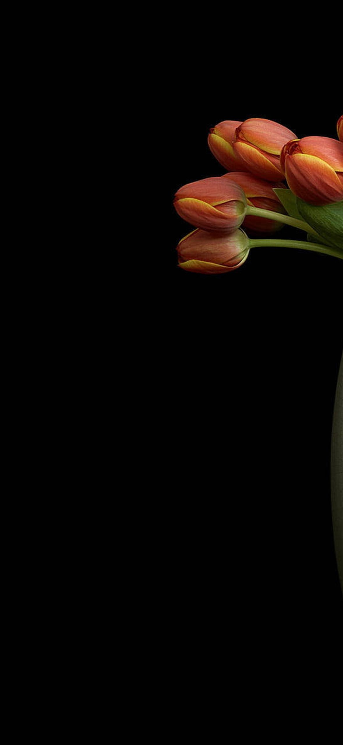 Background Black with Vased Tulips Roe3fnuk1ap8ouf7