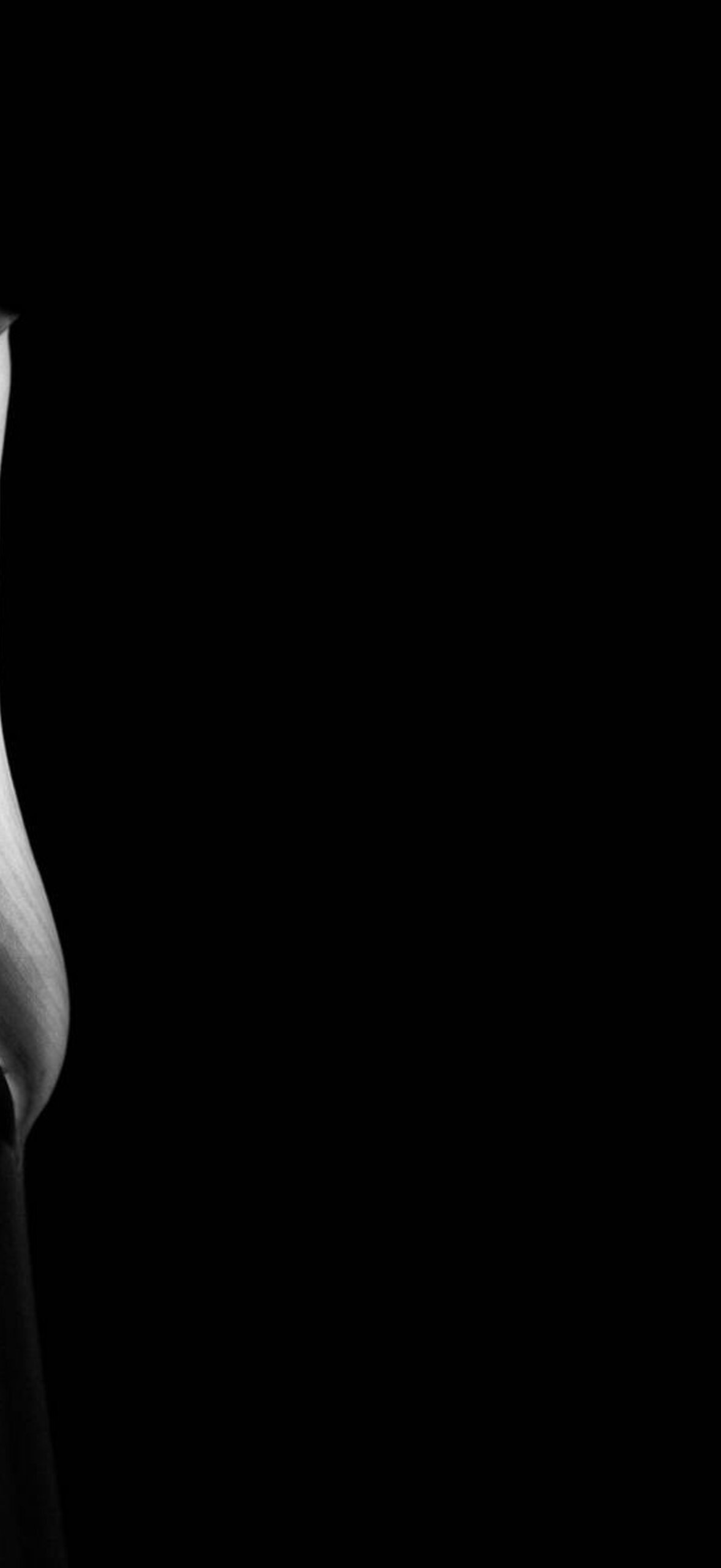 Black And White Solitary Flower Kwep2Pepblxqvylf.Jpg