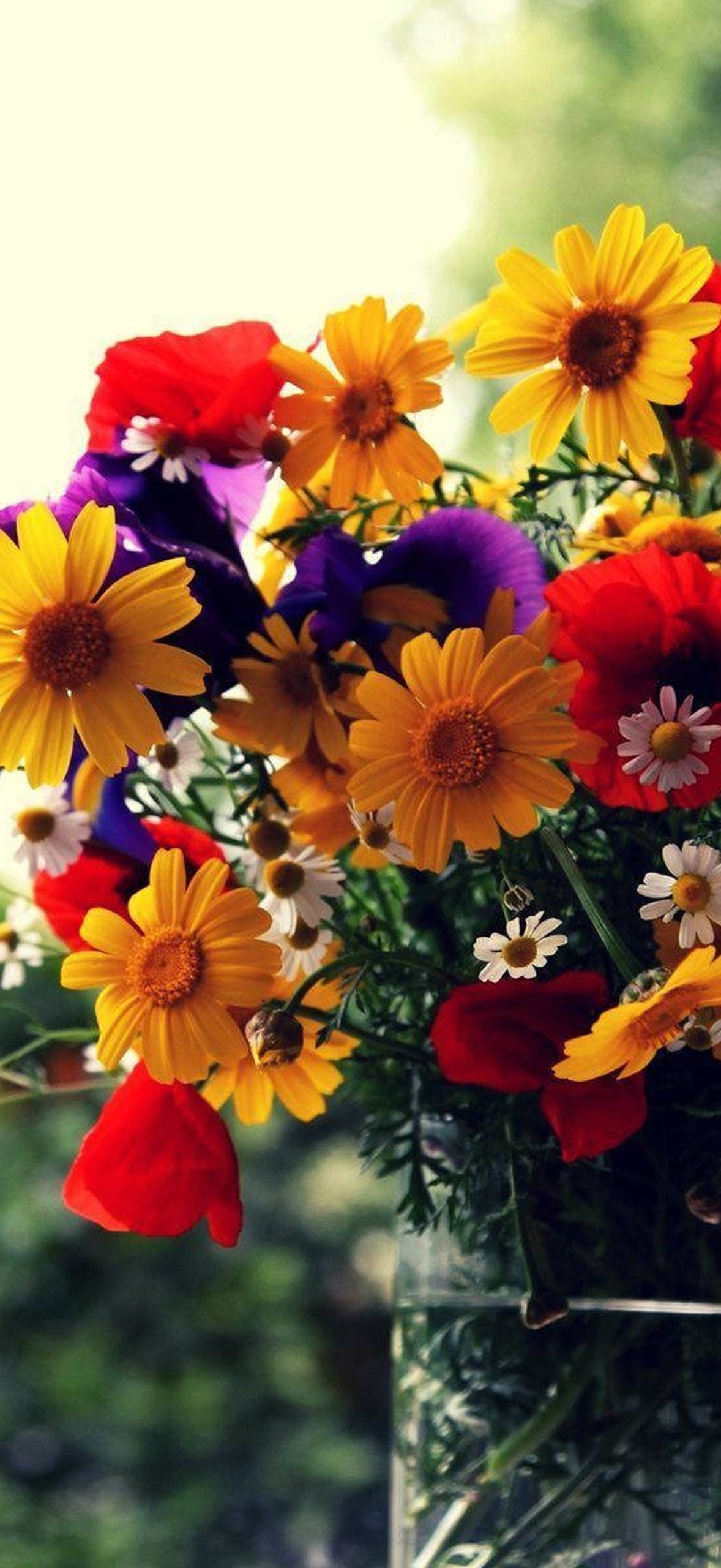 Bouquet Sunflowers in Vase Gmls809x5inslecn