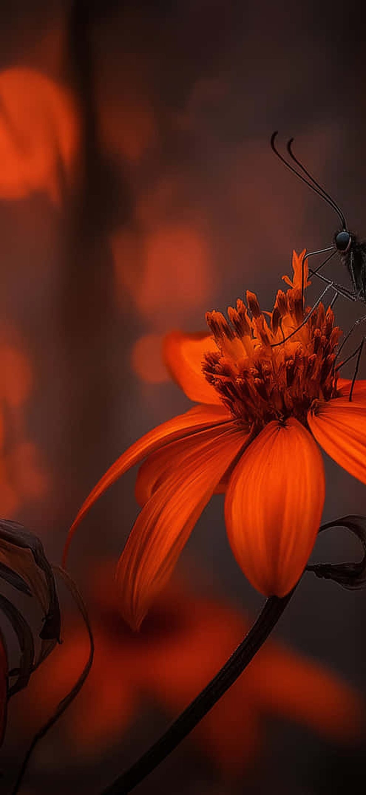 Butterfly on Blooming Flora with Soft Background Glow