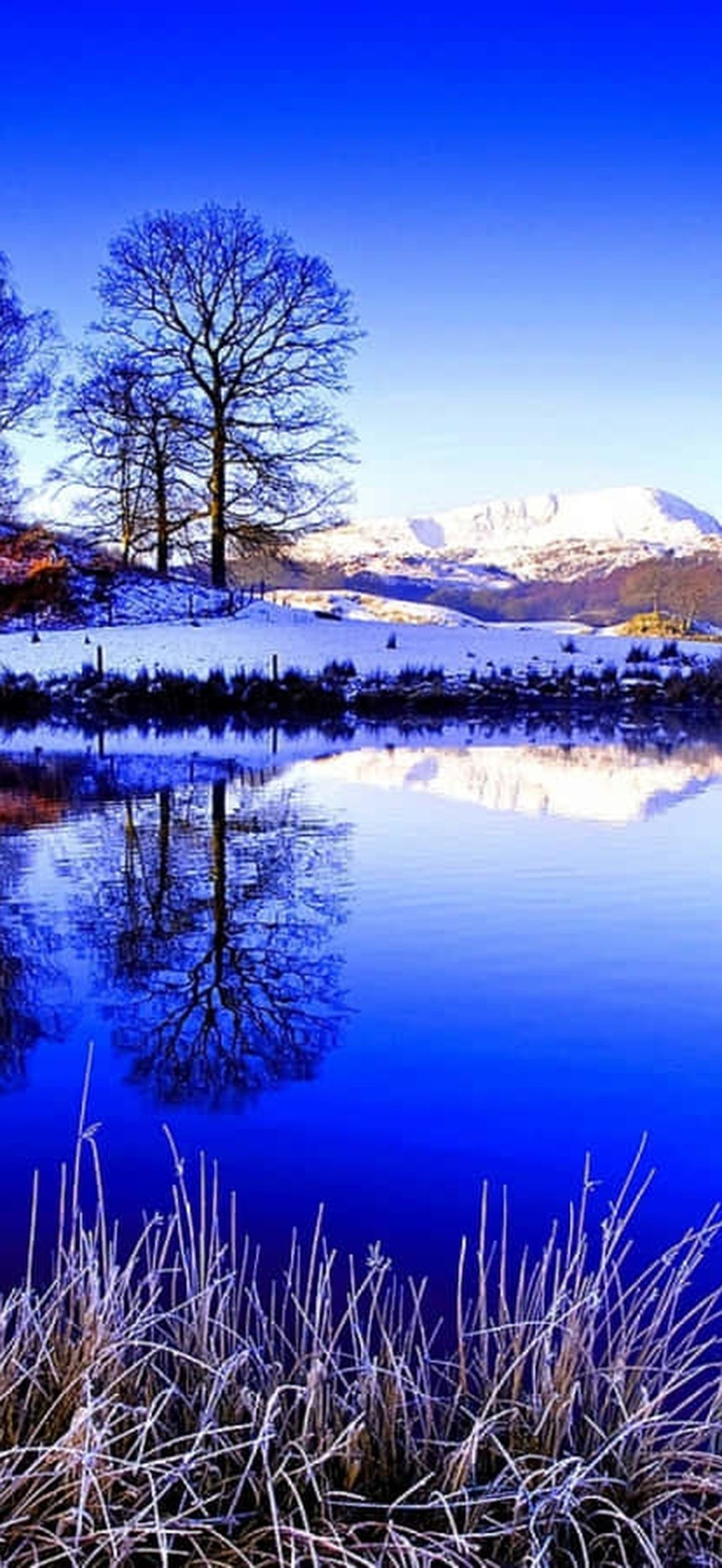 Crisp Blue Water Wallpaper 8fepauosqkvvuleg