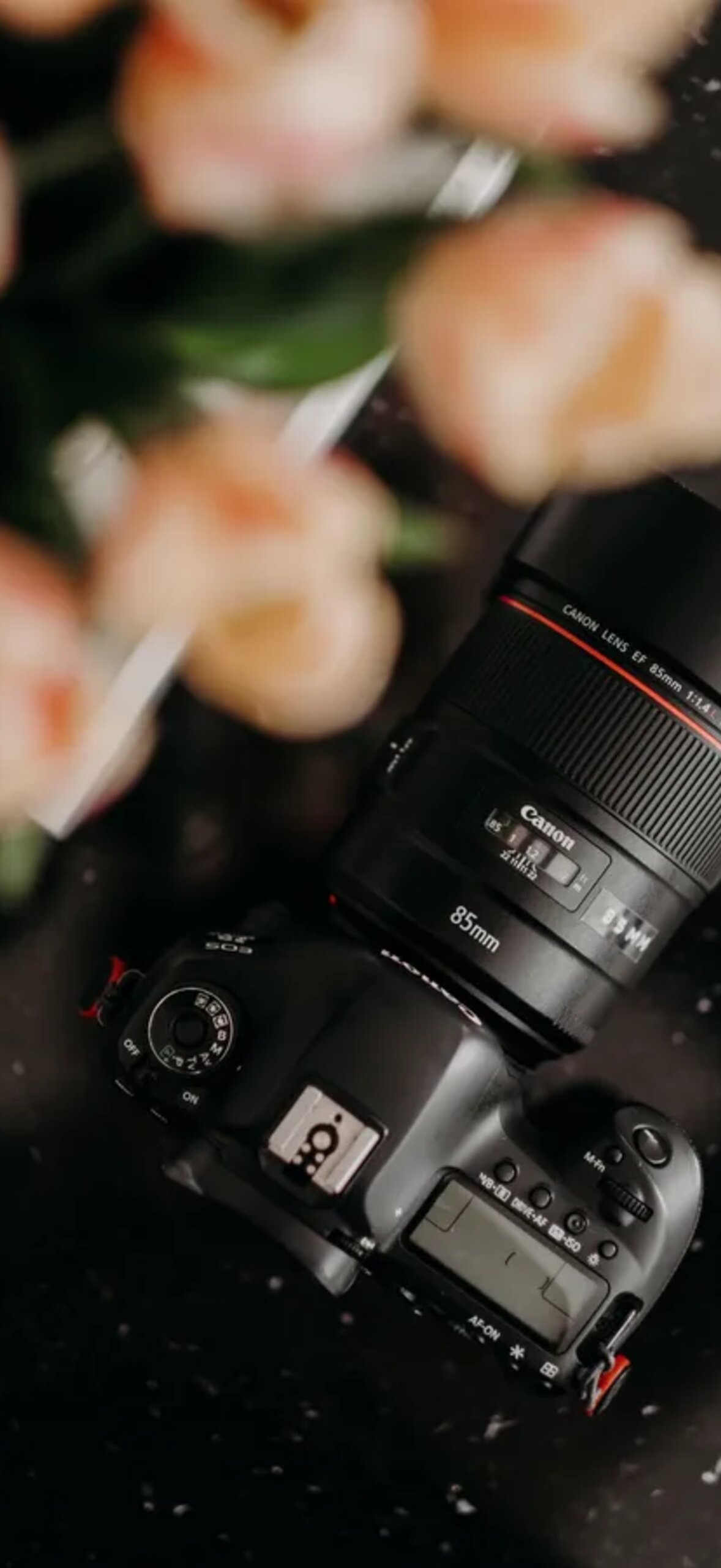 Dslr Camera And Flowers Zdhajuou3B2Tx8Xu.Jpg