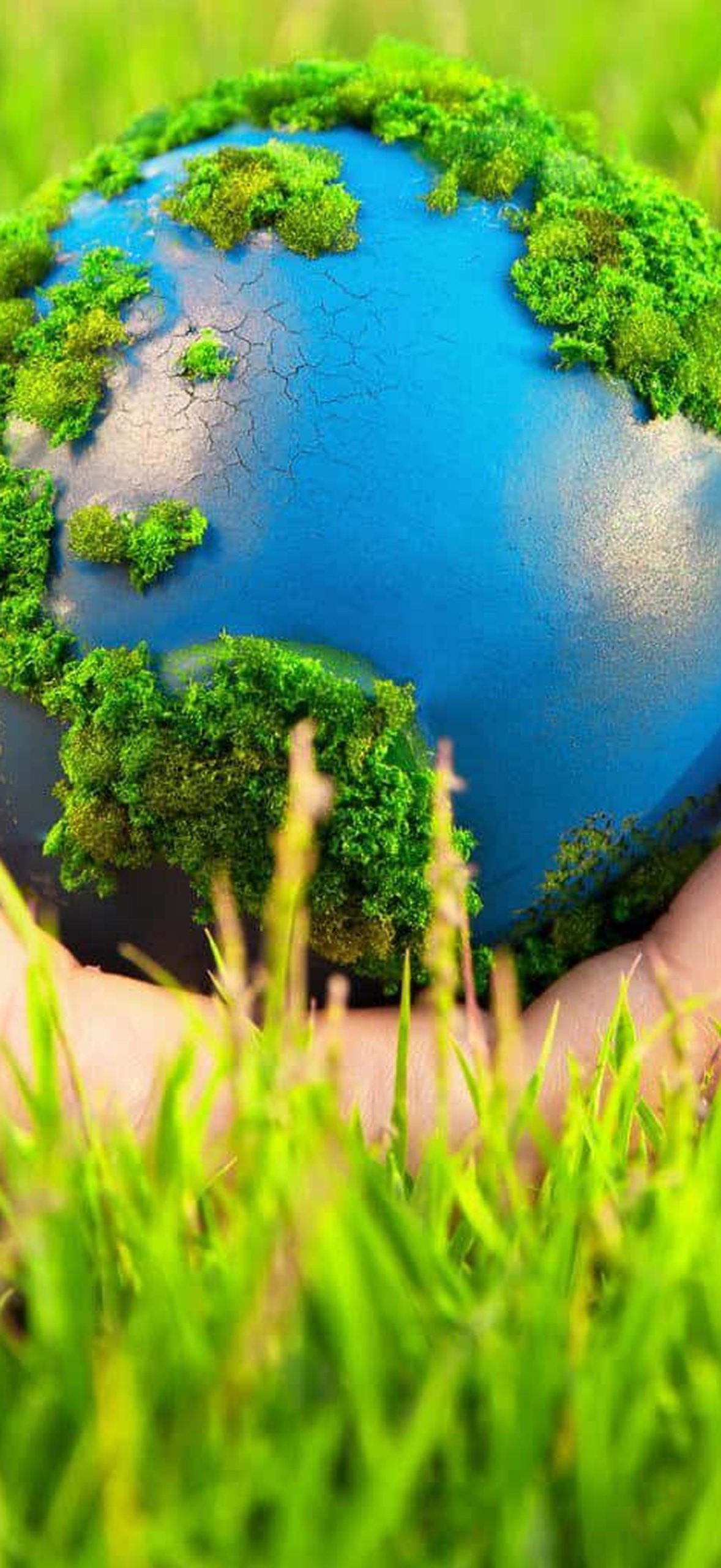 Environment Earth on a Hand X44q7jm4i27ngqu9