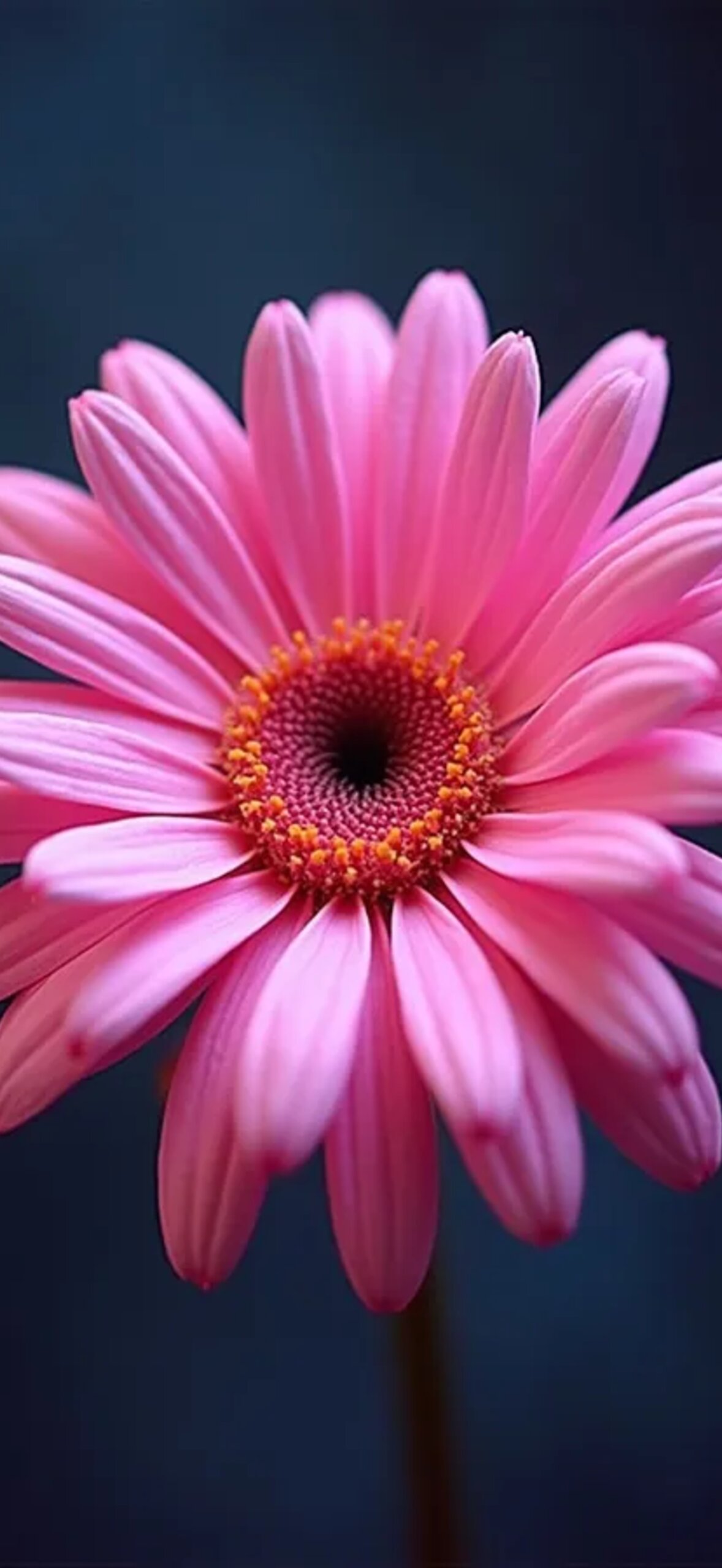 Flower 3Wklp9L5Zvslw5Gu.Jpg