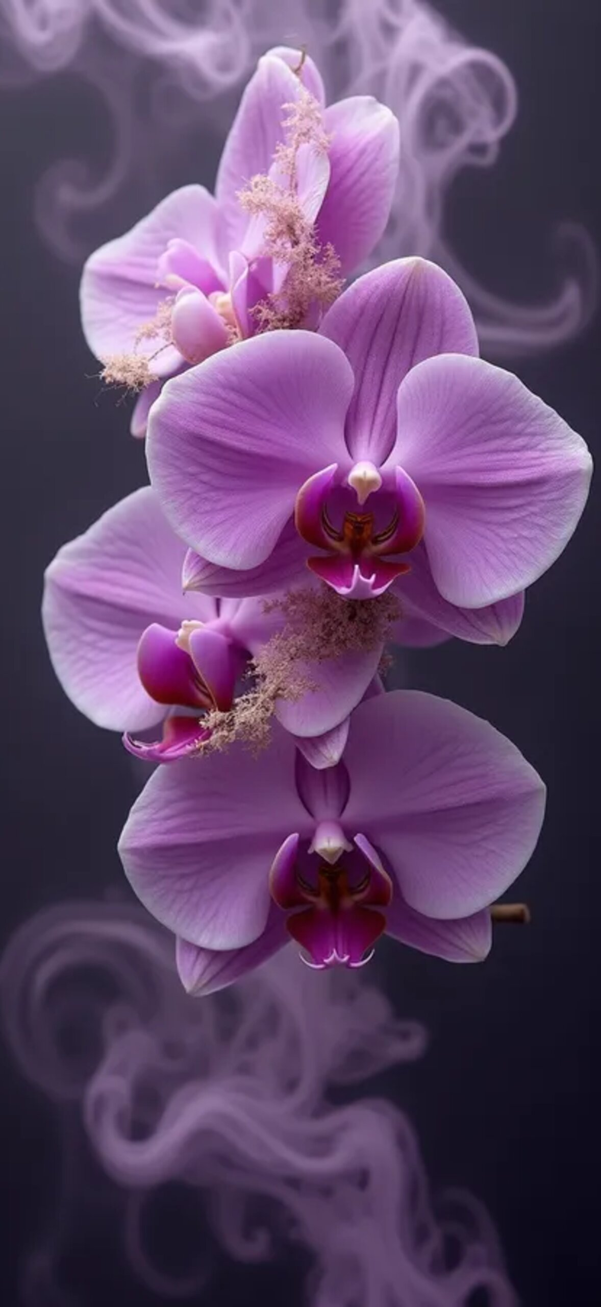 Flower 9Ev0Depyyfowpz88.Jpg