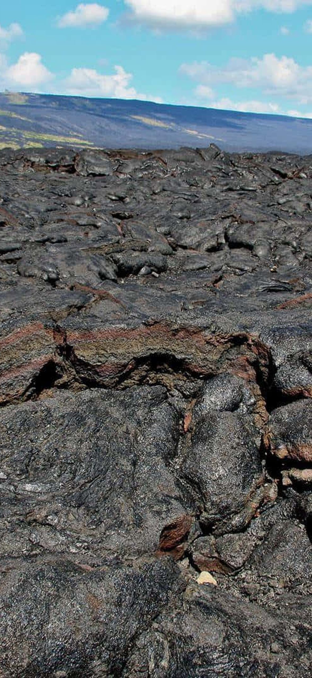 Hawaii Volcanoes National Park Black Rock Cqwcmn015h5ymxit