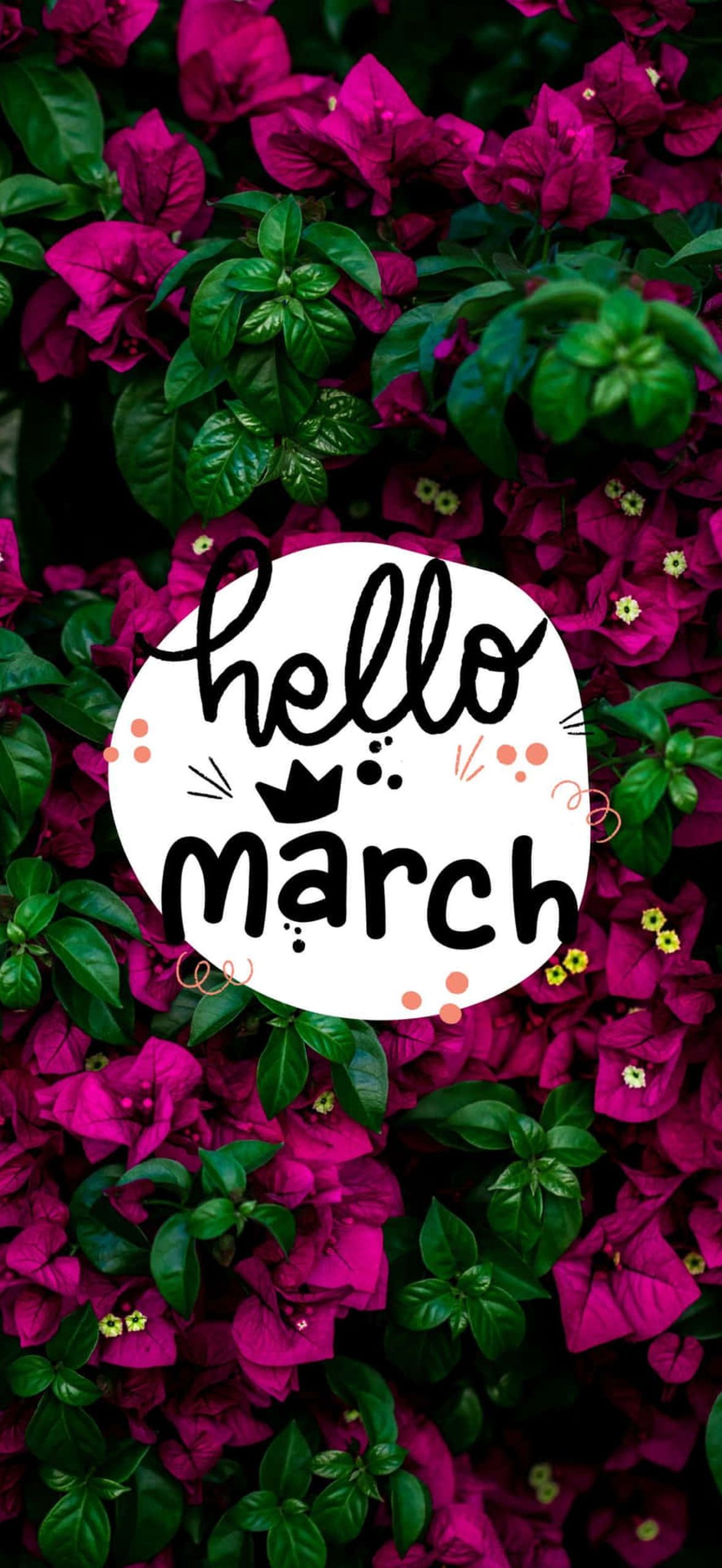 Hello March Vyrql6nvb2nbto7n