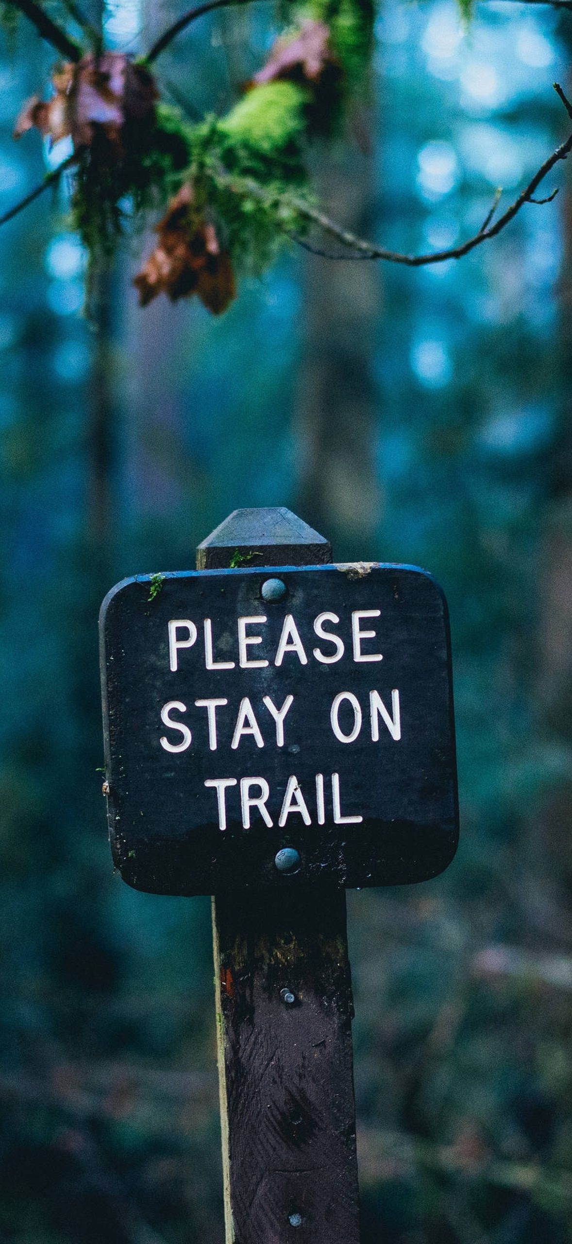 Humble Warning Trail Whezhxk2aiettq85