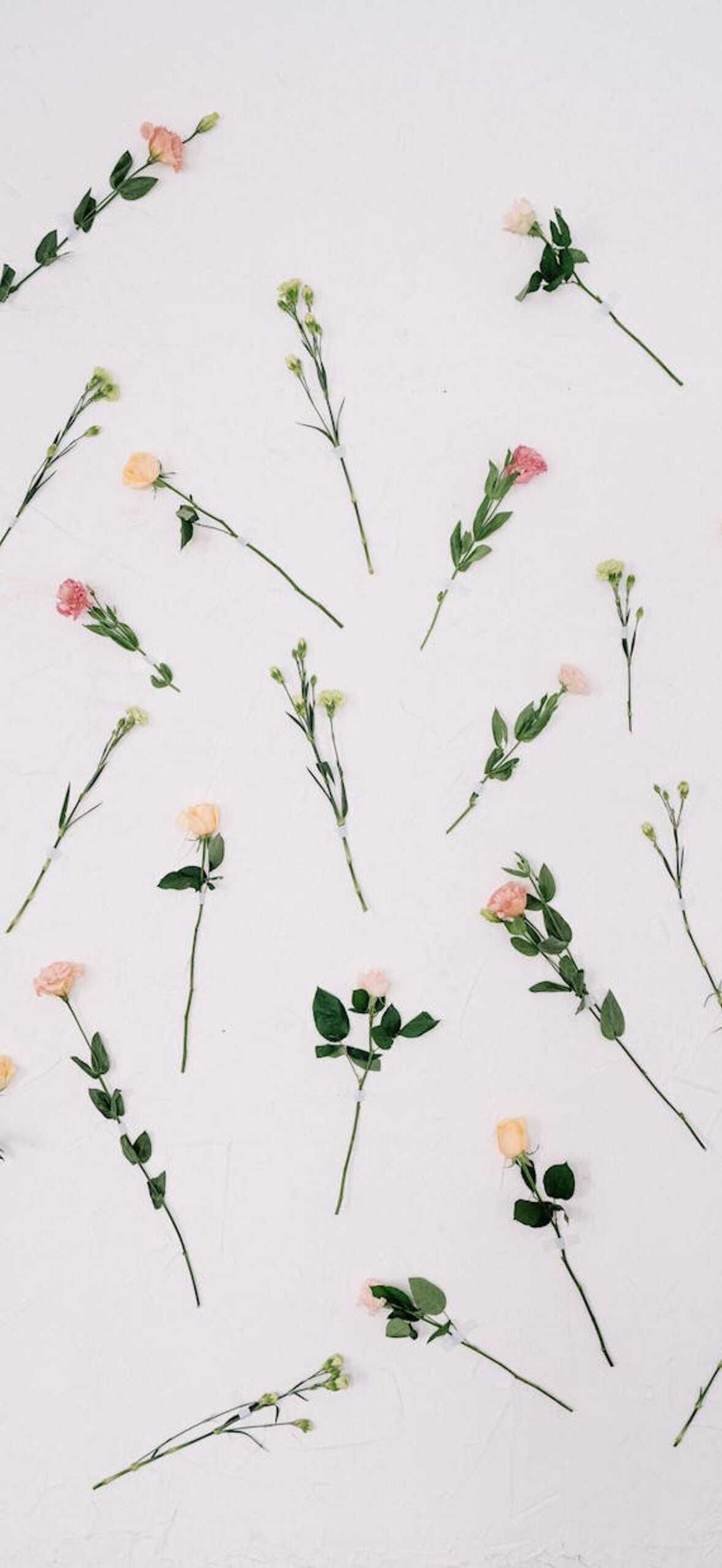 Ipad-Pro-Cute-Thin-Flowers-Bs2R2Vrxj8Rxx17Q
