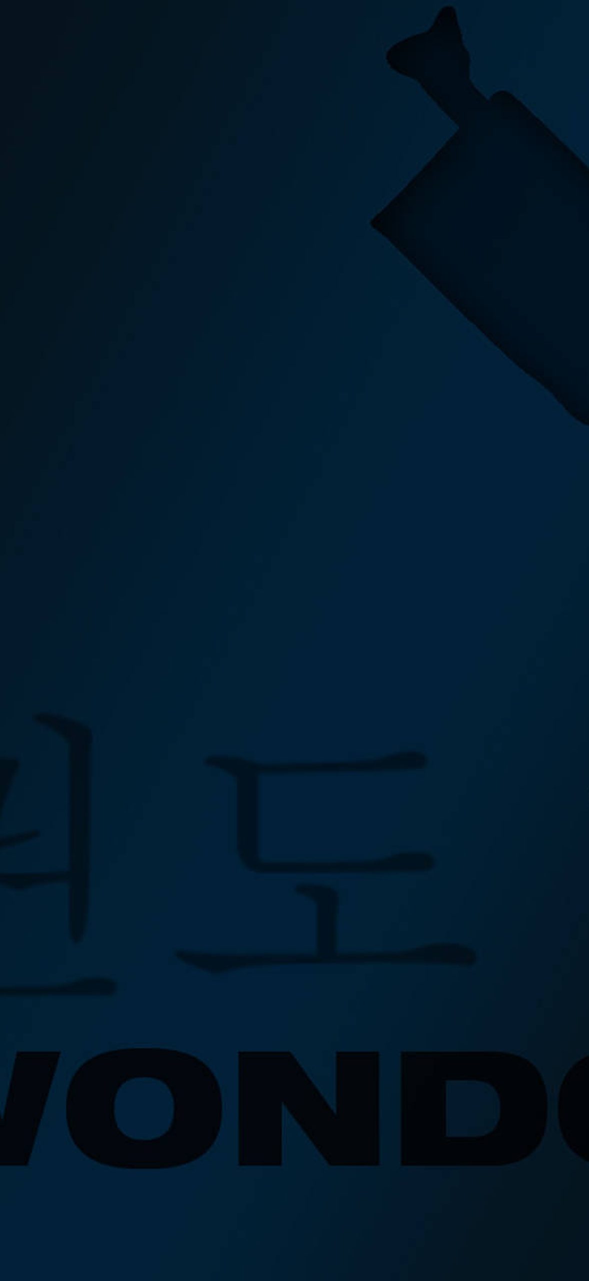 Martial Arts Taekwondo Dark Blue Silhouette Clkmhaqiccfl3rgz