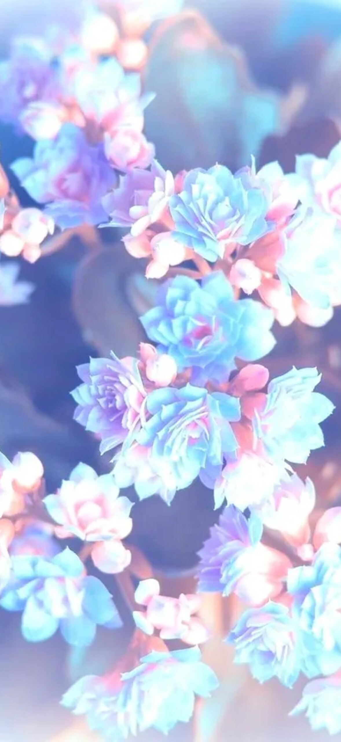 Pink Floral Jyert8Qa5Wsanv7E.Jpg