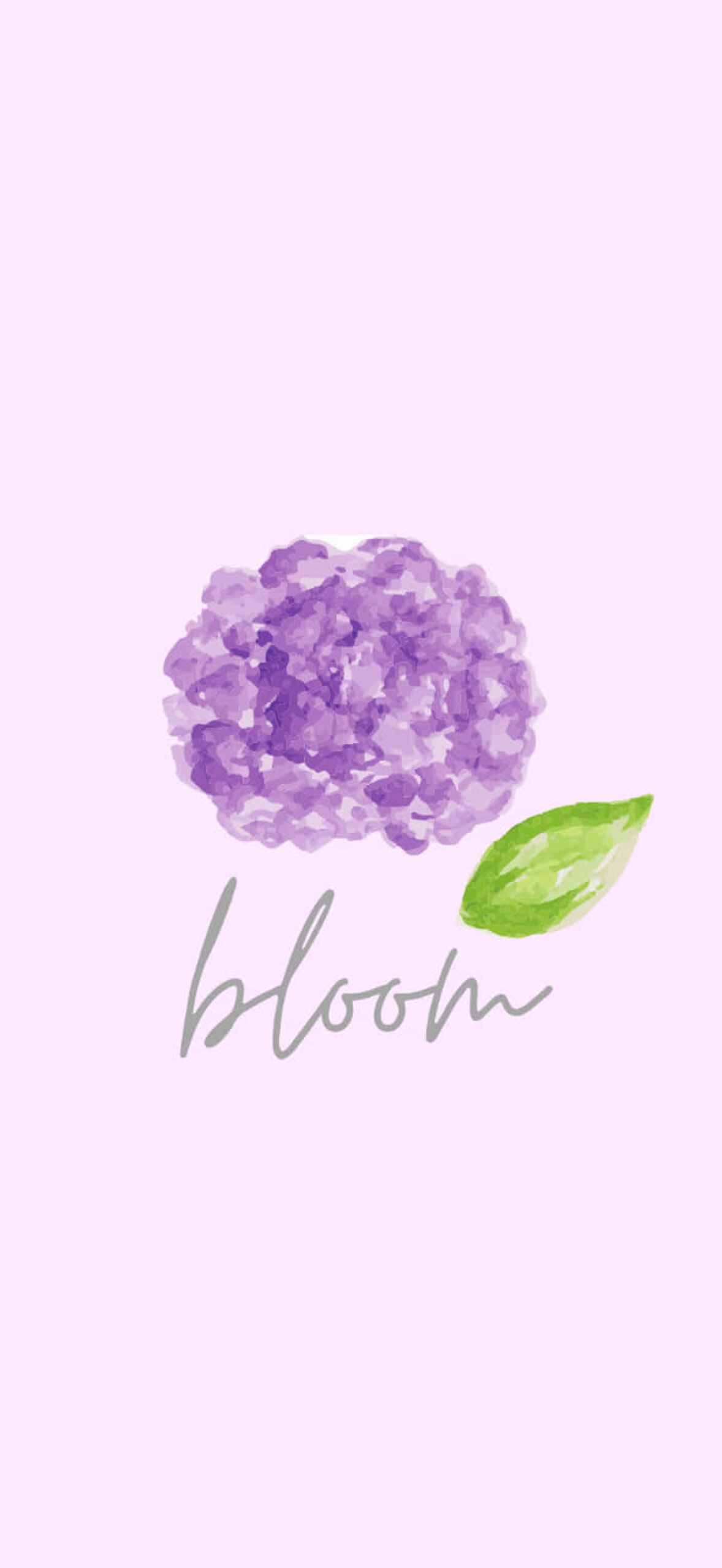 Proper Portrait Bloom Pink Khcze94Kxqmqbn37.Jpg