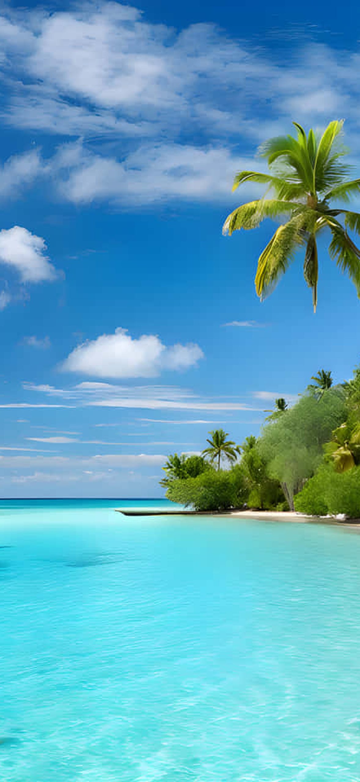 Sea Beach and Palm Trees Glm68zkl8fhjz1di
