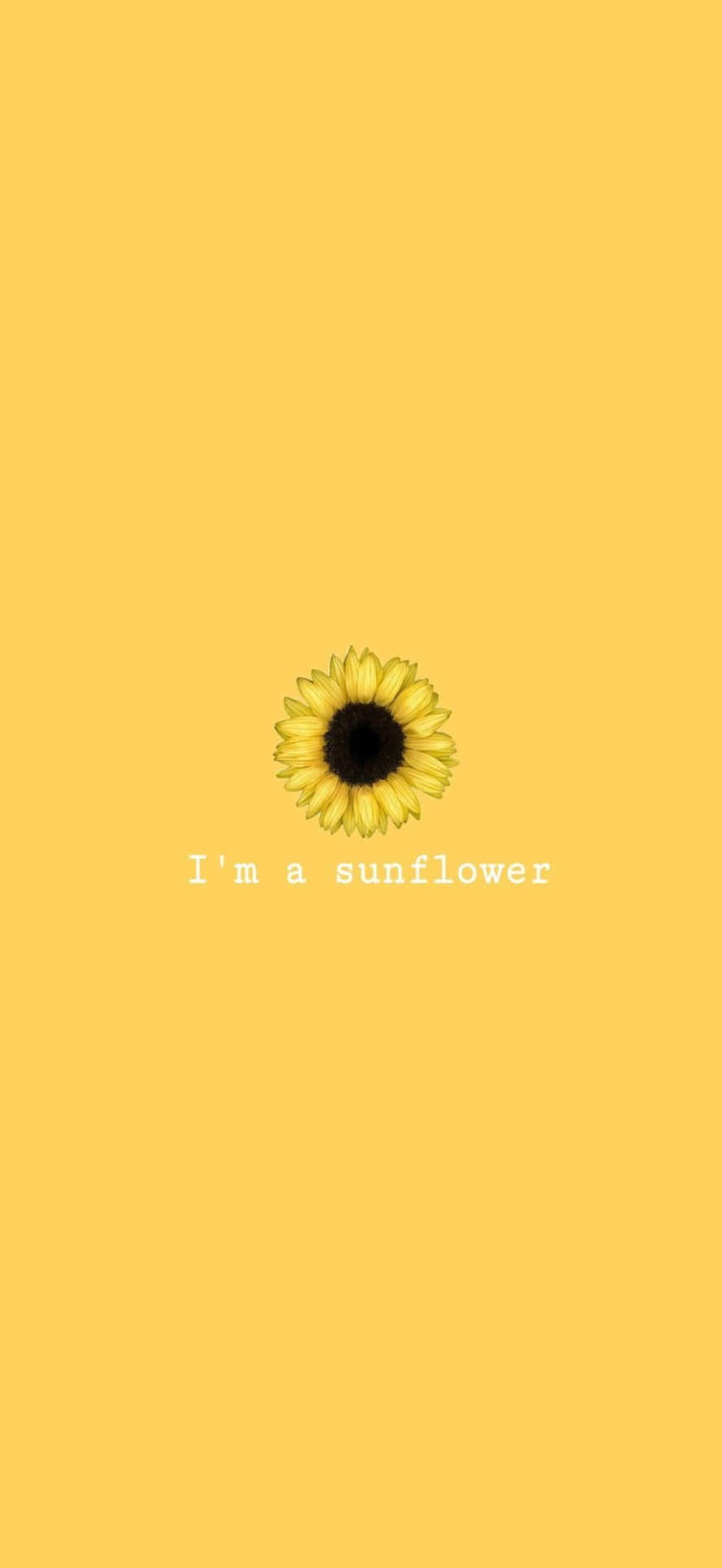 Sunflower Yellow Tumblr Aesthetic L89Wns4Gcziobhbc.Jpg