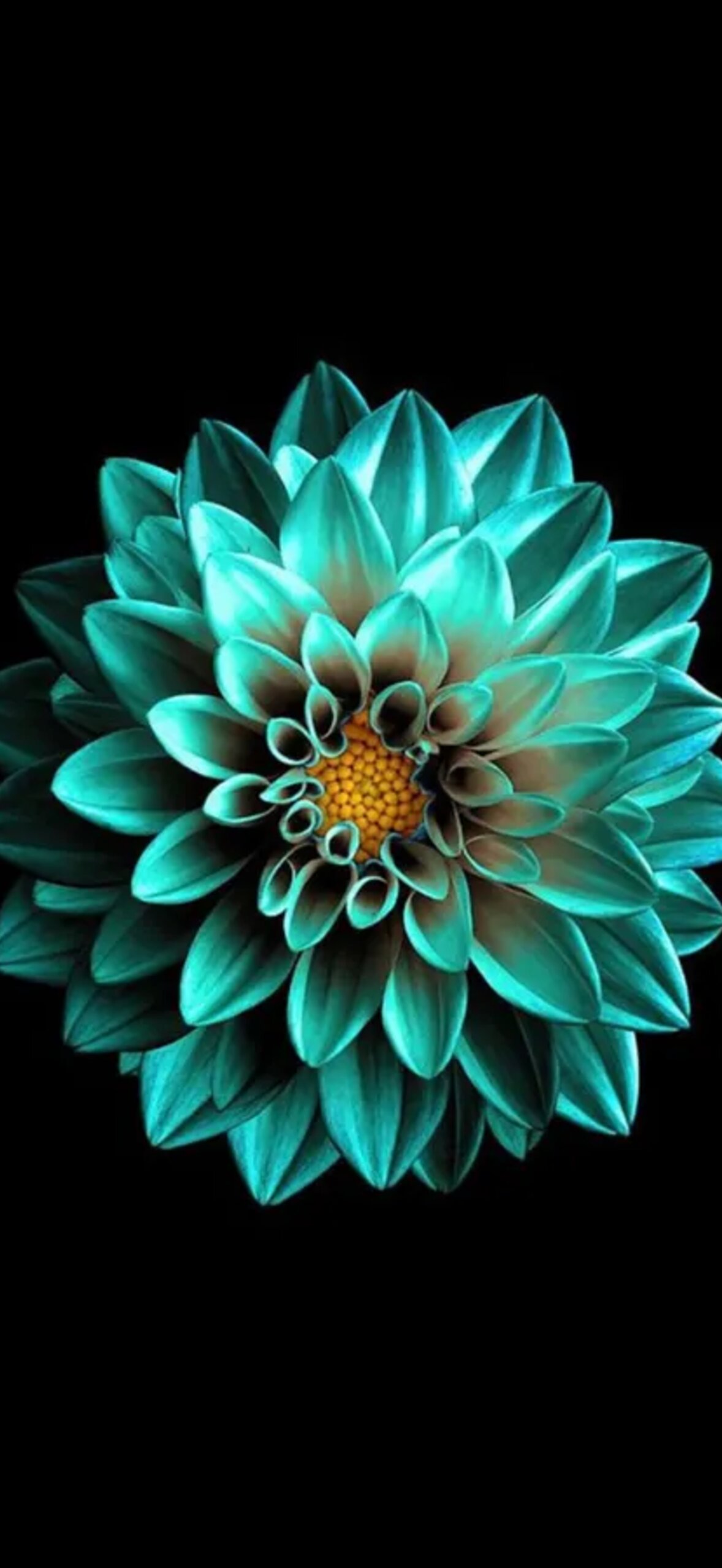 Turquoise Flower Iphone 7 Original Oxdkil9N7Aml5V1L.Jpg