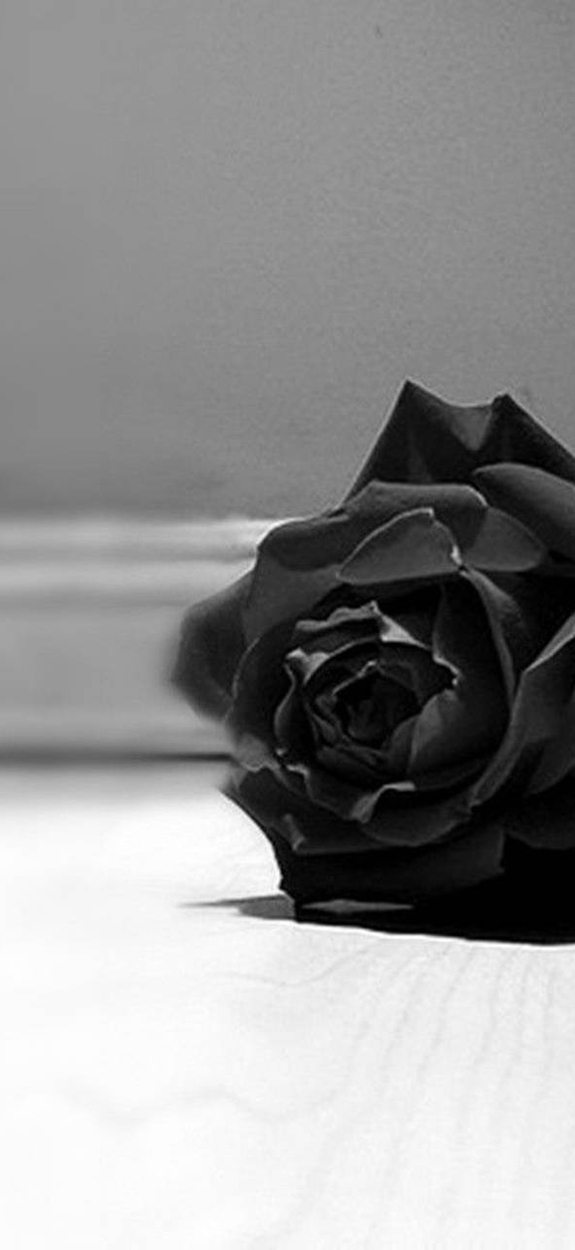 A black rose rests on a wooden floor in a grayscale setting.