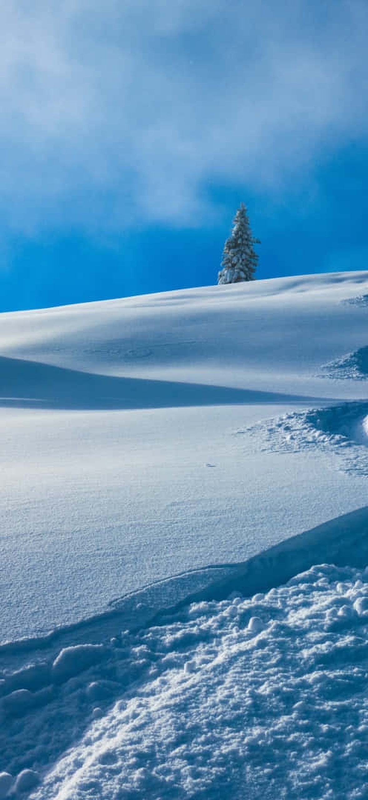 Ski trail winding through snowy mountain landscape with evergreen trees under bright blue sky.