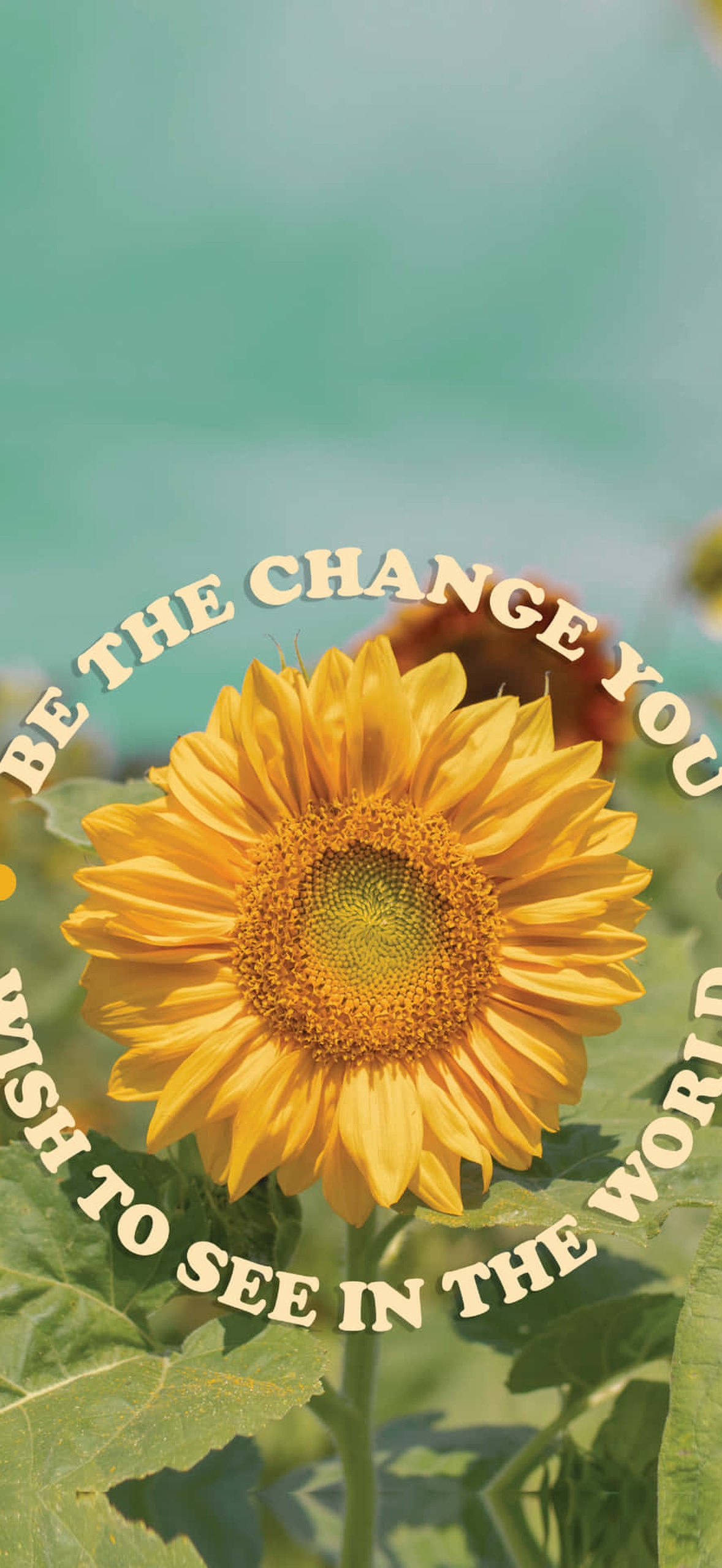 Sunflower with text be the change you wish to see in the world