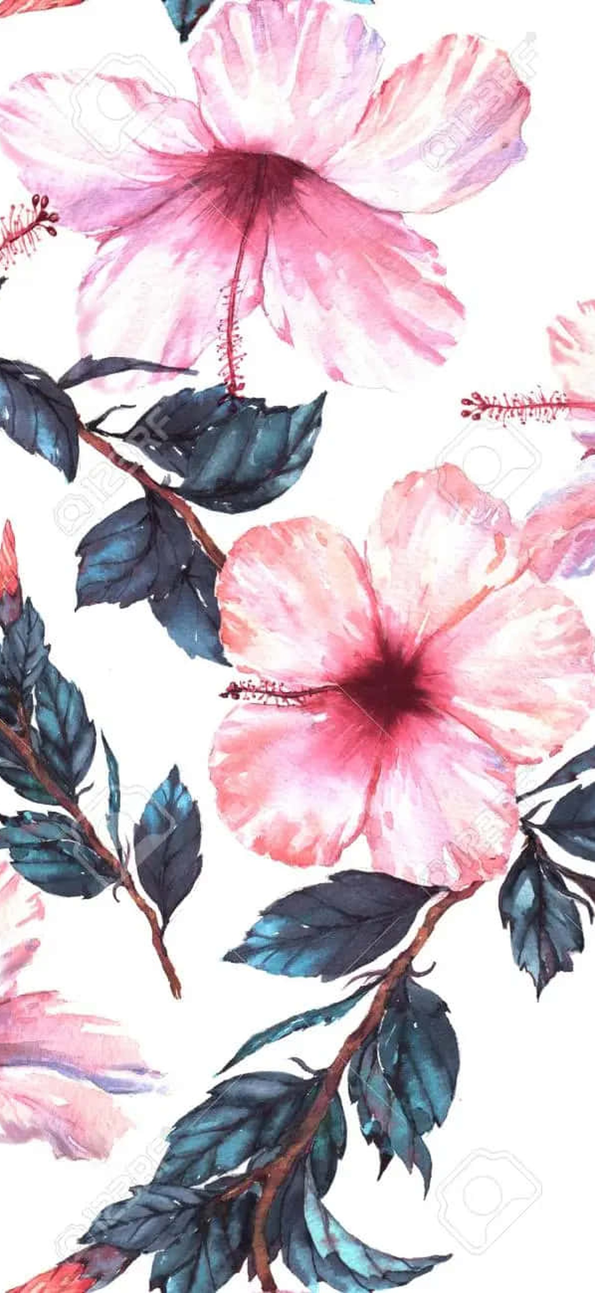 Pink hibiscus flowers with teal leaves in a watercolor floral pattern.