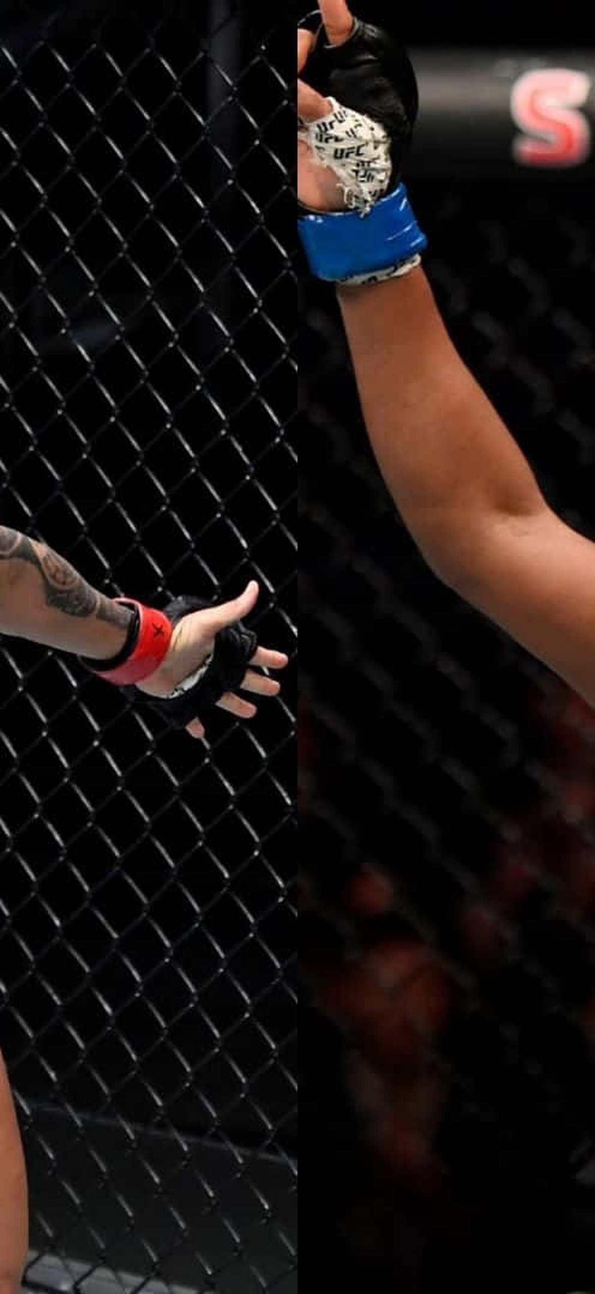 Two female MMA fighters celebrate victory inside a UFC octagon.